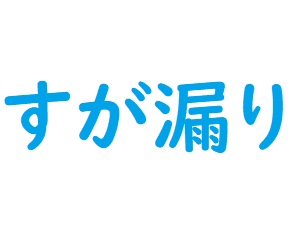 すが漏り 画像