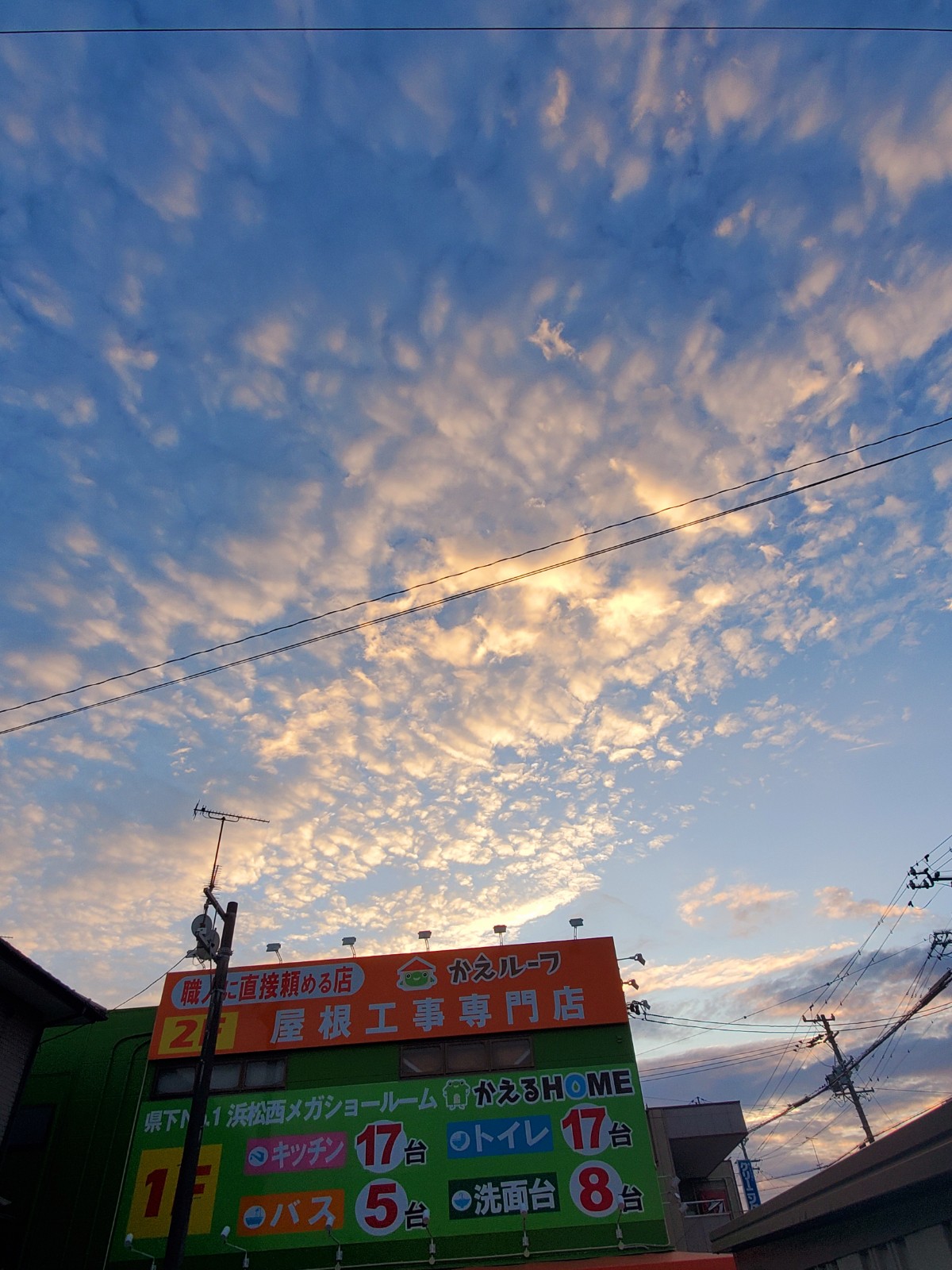 そろそろ冬支度？🍁【浜松市の屋根工事や雨漏り点検は当店にお任せください】 画像