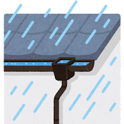 雨樋の詰まり🍂 画像