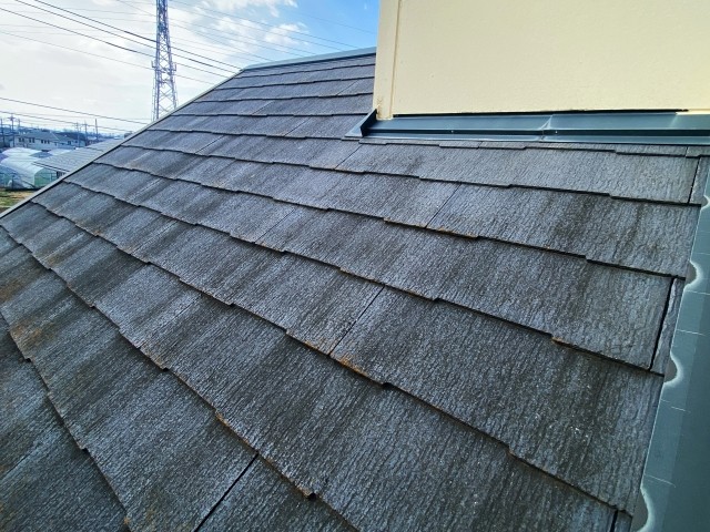スレート屋根の苔を放置してはいけない理由【屋根のメンテナンスは当店へお任せください】 画像