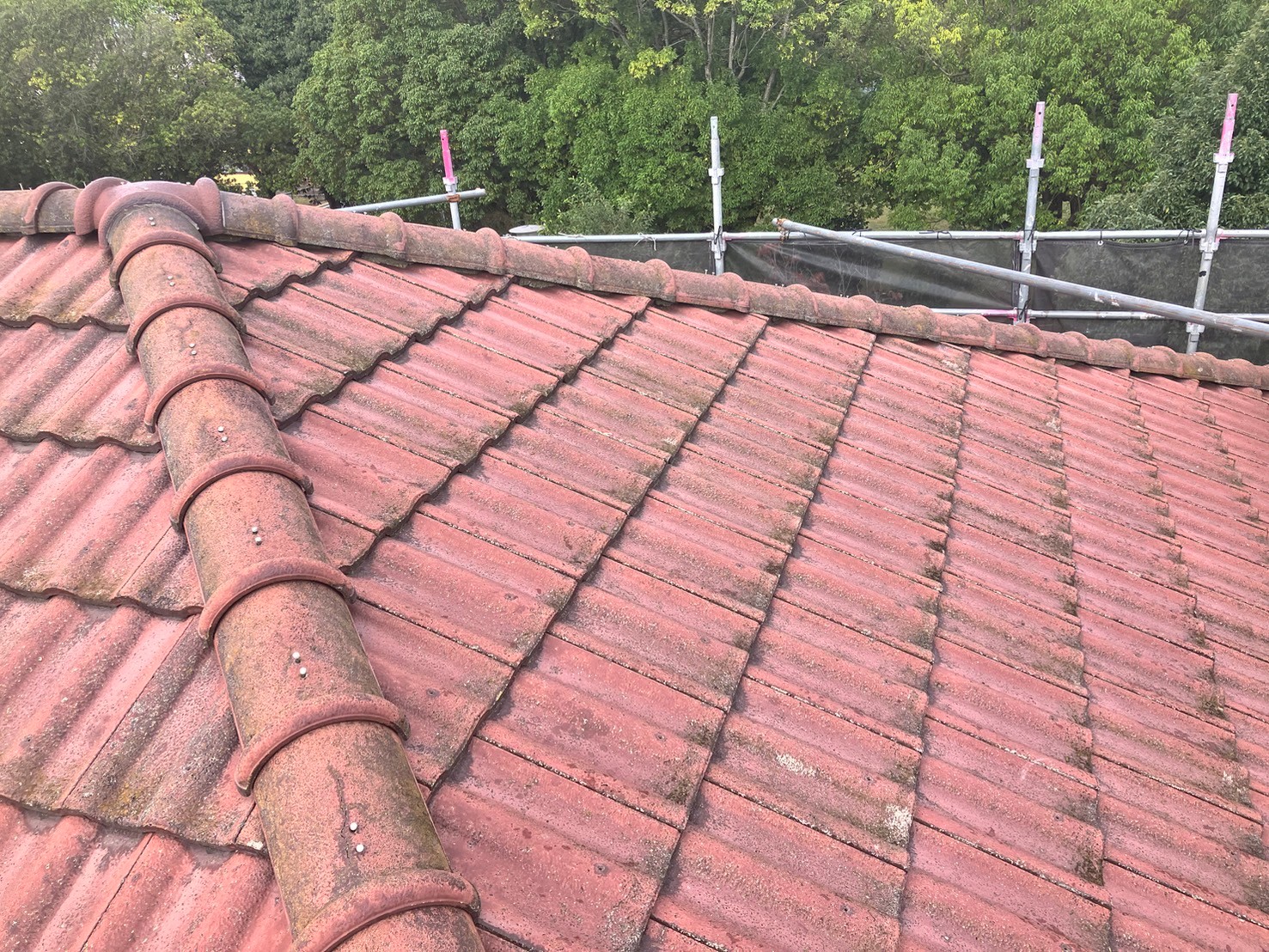 Before画像