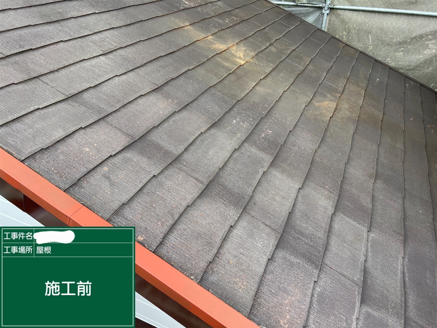 Before画像