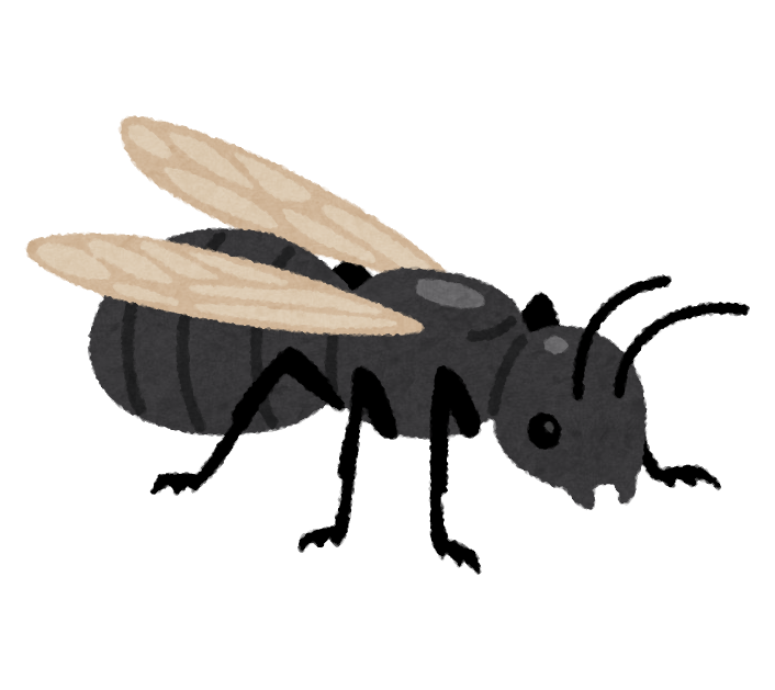 白蟻について🐜【浜松市の屋根外壁リフォームのご相談は当店へ】 画像