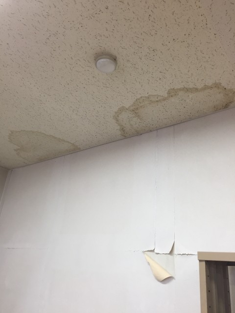 冬は雨漏りが起こりやすい！？【浜松市の屋根リフォームのご相談は当店へ】 画像