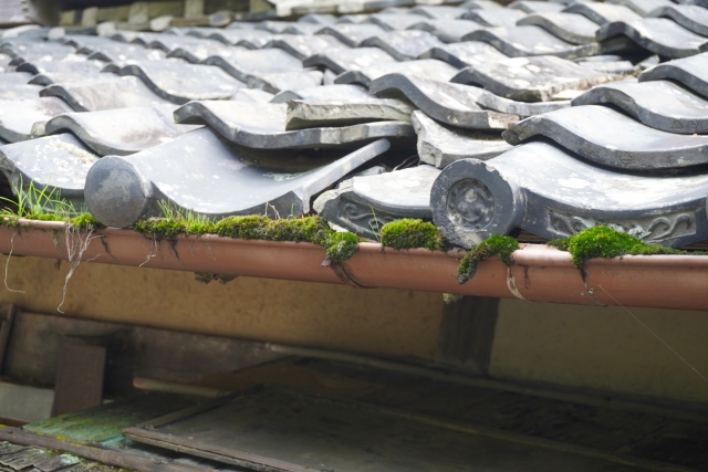 梅雨前に確認！屋根と外壁のチェックポイントとは？【静岡県浜松市の屋根修理専門店】 画像