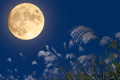 2026年の中秋の名月🌕 秋の夜空を楽しもう!! 画像