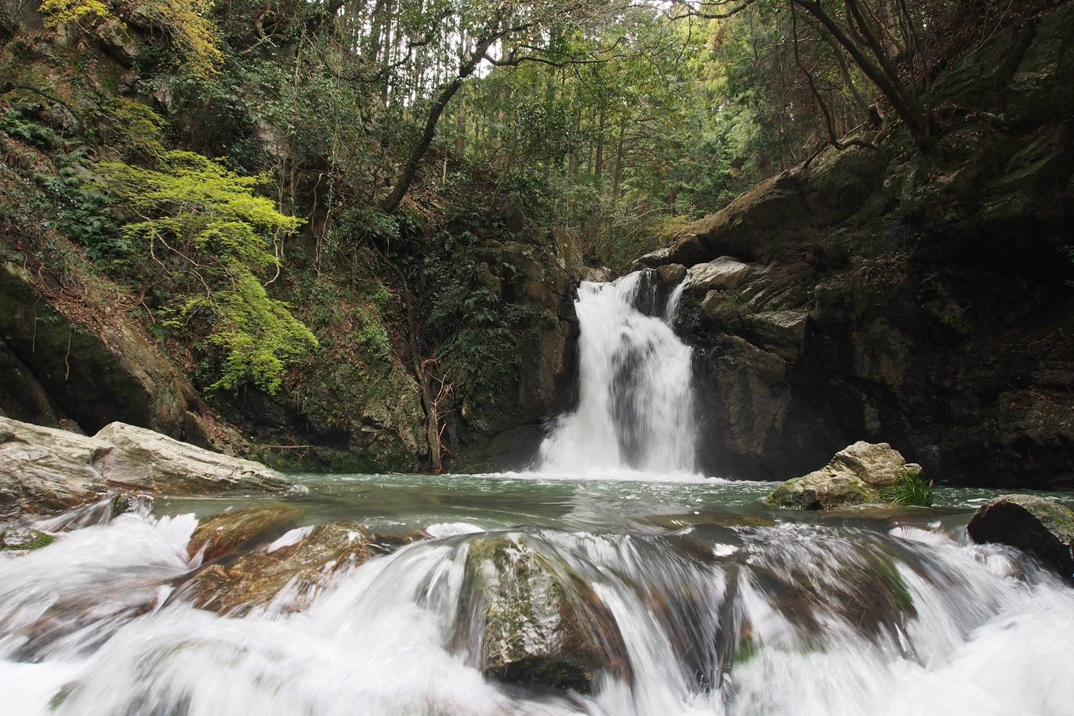 GW浜松市民にオススメの穴場♪ぷち家族レジャー＆撮影スポット3選｜静岡県浜松市の屋根修理専門店 画像