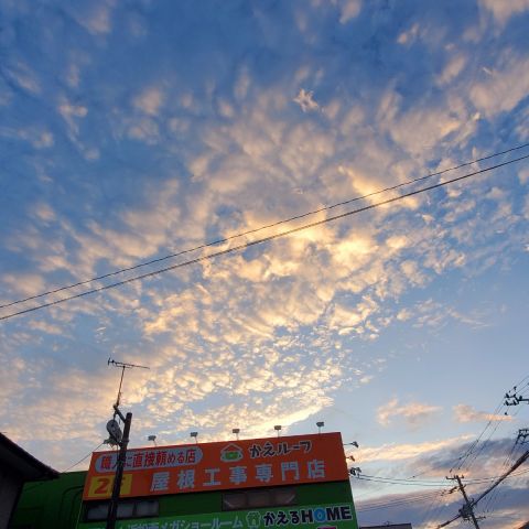 そろそろ冬支度？🍁【浜松市の屋根工事や雨漏り点検は当店にお任せください】 アイキャッチ画像