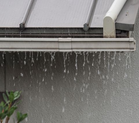 雨樋のお掃除方法✨ アイキャッチ画像