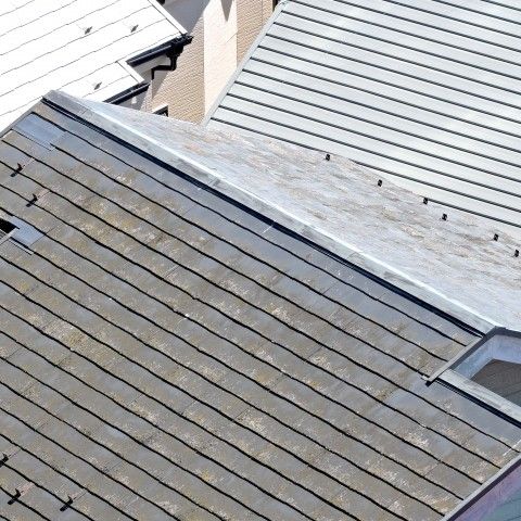 屋根の苔【浜松市での屋根リフォームのご相談は当店へ】 アイキャッチ画像