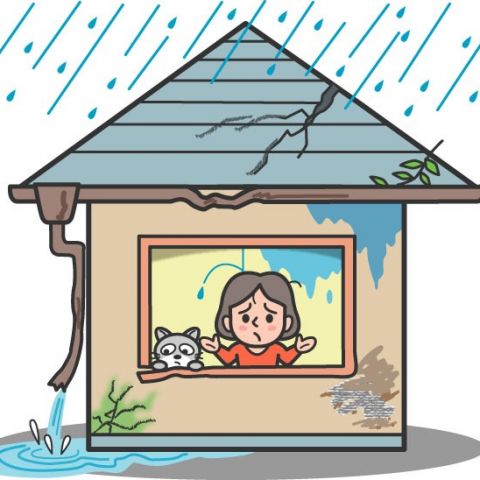 梅雨前にやっておきたい雨漏り対策【浜松市のリフォームのご相談は当店へ】 アイキャッチ画像