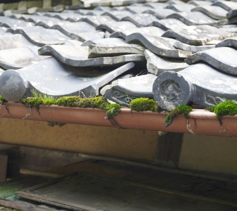 梅雨前に確認！屋根と外壁のチェックポイントとは？【静岡県浜松市の屋根修理専門店】 アイキャッチ画像