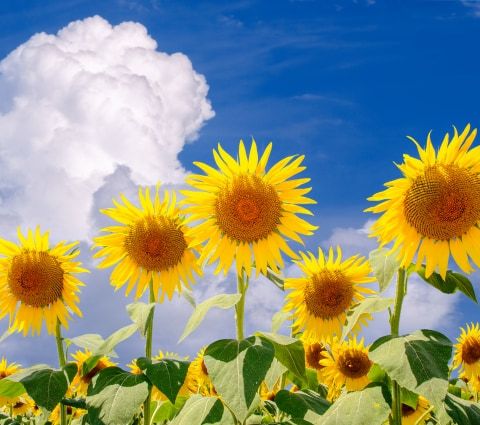 急に暑くなってきた…！浜松の夏を乗り切る「我が家の熱中症対策」と見落としがちな盲点 アイキャッチ画像