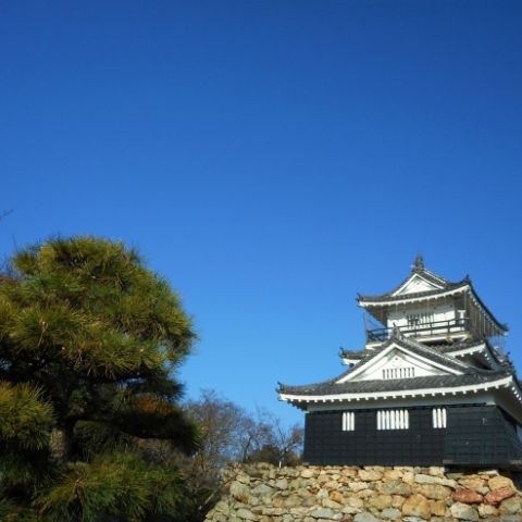 【2026】浜松城公園「出世城ぎょうざ祭り」ガイド!開催時間・アクセス・混雑回避のコツ|静岡県浜松市の屋根修理専門店 アイキャッチ画像