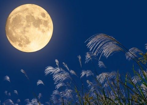 2026年の中秋の名月🌕 秋の夜空を楽しもう!! アイキャッチ画像
