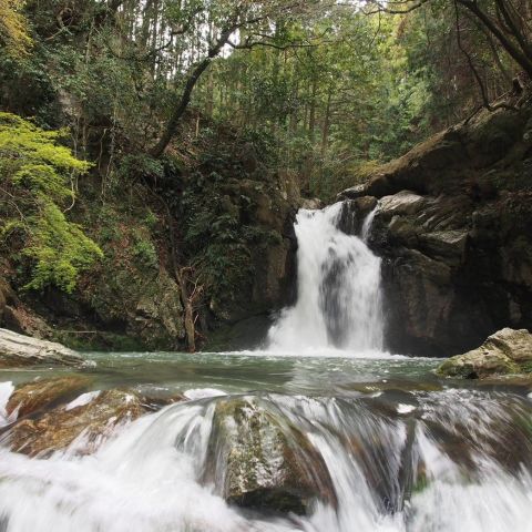 GW浜松市民にオススメの穴場♪ぷち家族レジャー＆撮影スポット3選｜静岡県浜松市の屋根修理専門店 アイキャッチ画像